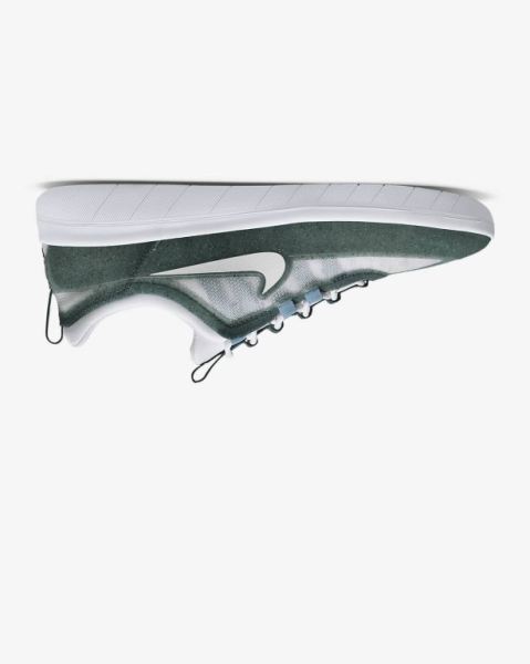 Nike SB Nyjah Free 2 Erkek Kaykay Ayakkabısı Gri | INGRF8274